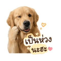 JAOYING_20260430174550