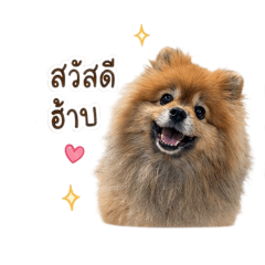 yumiyochiifamily_20260430180829
