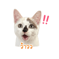 Baitong_20260430181007