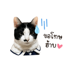 Ryanmeowjon