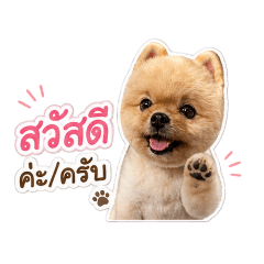 Ally_20260430181938