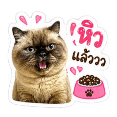 Lookpu_20260430182448