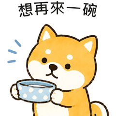 Relaxed Shiba Inu Daily Life TC