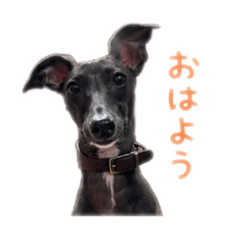 itagure-kawaii