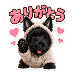 satomidog