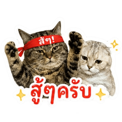 Mii Wanchanok_20260430185200