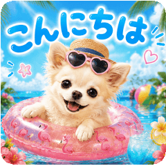 A dog that notices summer