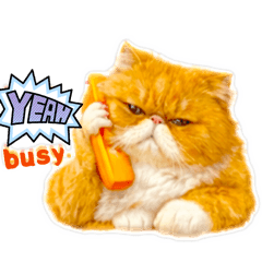 Benny_20260430192349