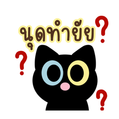 Black Cat_20260430193046