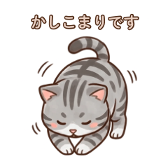 Calico Cat Soft Days