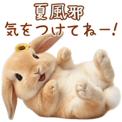 Fluffy Dog.4 Netherland Dwarf