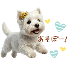 Fluffy Dog.4 Westie