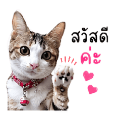 Ying_20260430195717