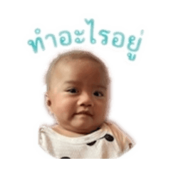 toy_20260430195844
