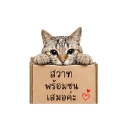 mimi_20260430200521