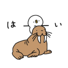 ピヨコロ　サマータイム
