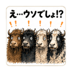 Himalayan Yaks, Part 4