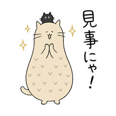 Cute Cat for Expressing Honest Feelings