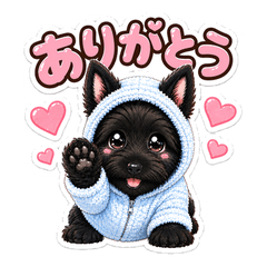 Satomi dog Scottie