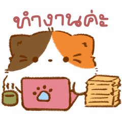 Plahed Calico Cat - At work