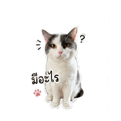 woonwai_20260430202633