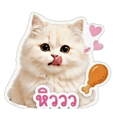 JAYJAY_20260430204252