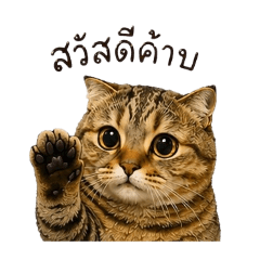 Chimon_20260430205117