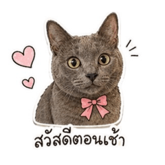 Minko_20260430205953