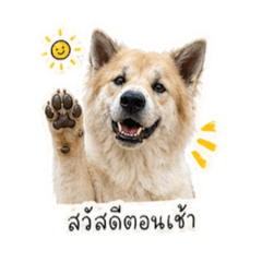 Mimi_20260430210747
