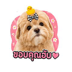 Evepongtip@gmail.com_20260430210829