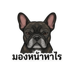 Bewty_20260430211926