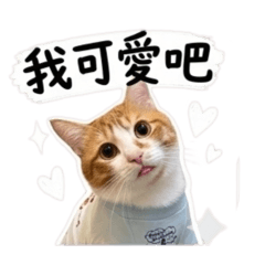 橙橙碎碎念
