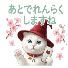 Two cats One Messages