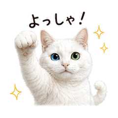Rice 2 - The Odd-Eyed White Cat