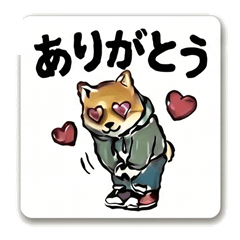 Teen Shiba Days