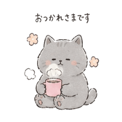 fluffy British Shorthair