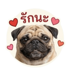 juker_20260430212434