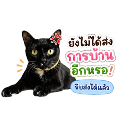KruCare_20260430213107