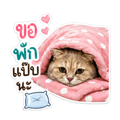 Lookpu_20260430213525