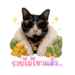 Sierracat_20260430213431