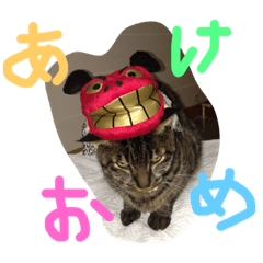 WATANABE KOTARO