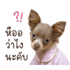 Ness Rikah_20260430215319