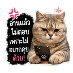 Lookpu_20260430215257