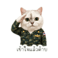 Chanon51
