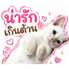 kook_20260430220133