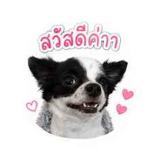 wakajew