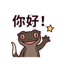 缺黃睫角守宮日常用語