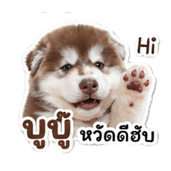 BuBu V. babe