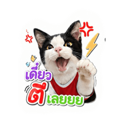 Bambam_20260430221607