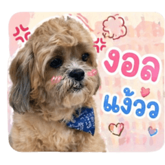 Saya_20260430221426